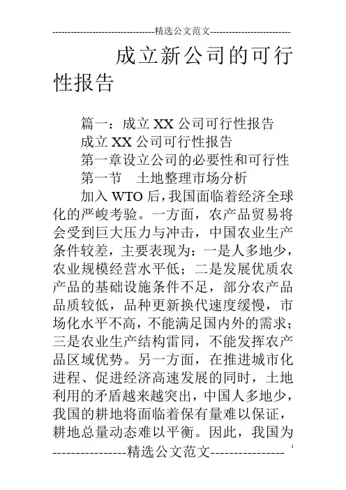 成立新公司的可行性报告