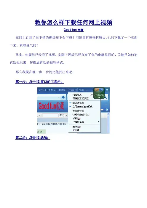 教你怎么样下载任何网上视频