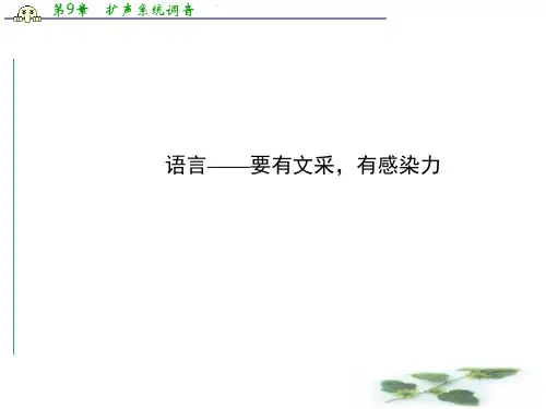 高考作文强化训练：语言——要有文采,有感染力
