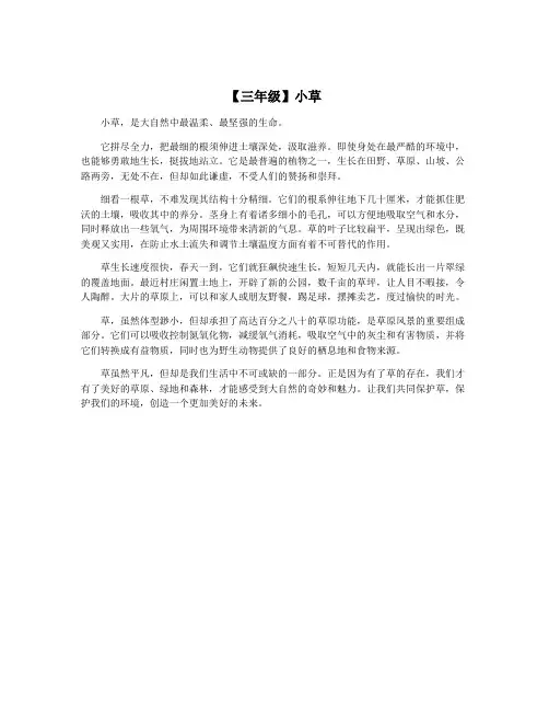 【三年级】小草