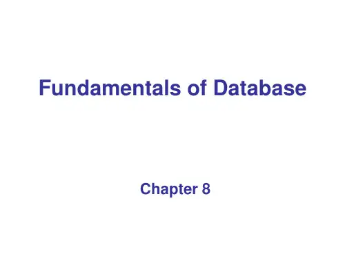 计算机科学概论(第9版)Lecture_8_DB