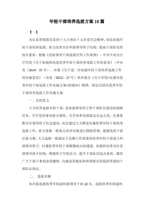 年轻干部培养选拔方案10篇WORD
