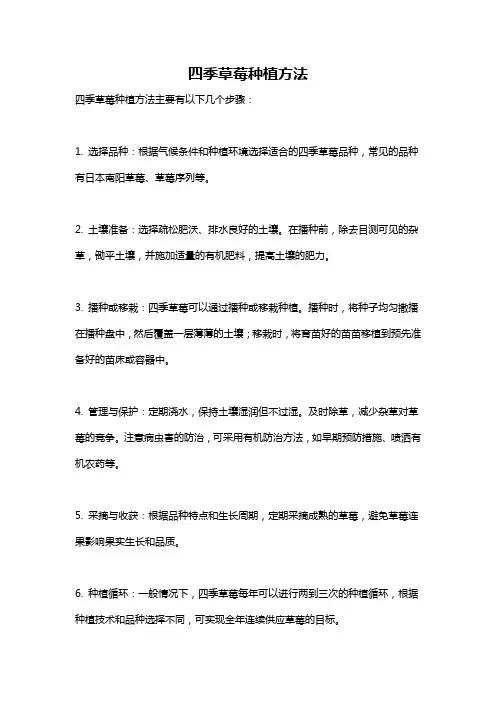 四季草莓种植方法