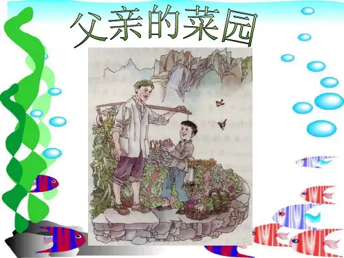 《父亲的菜园》PPT课件 10页