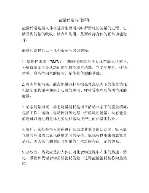 能量代谢名词解释