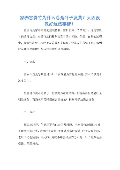 家养富贵竹为什么总是叶子发黄？只因没做好这些事情!