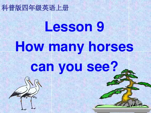 Lesson 9 How many horses can you see_科普版英语四年级上册