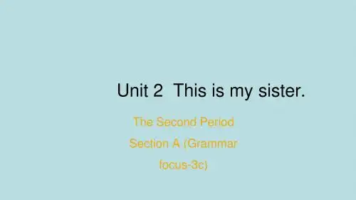 人教新目标七年级英语上册Unit 2 Section A (Grammar Focus-3c)教学课件