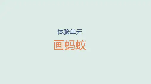 小学科学新大象版一年级上册体验单元《画蚂蚁》教学课件2(2024秋)