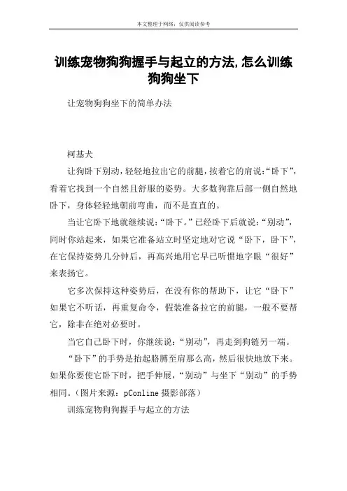训练宠物狗狗握手与起立的方法,怎么训练狗狗坐下