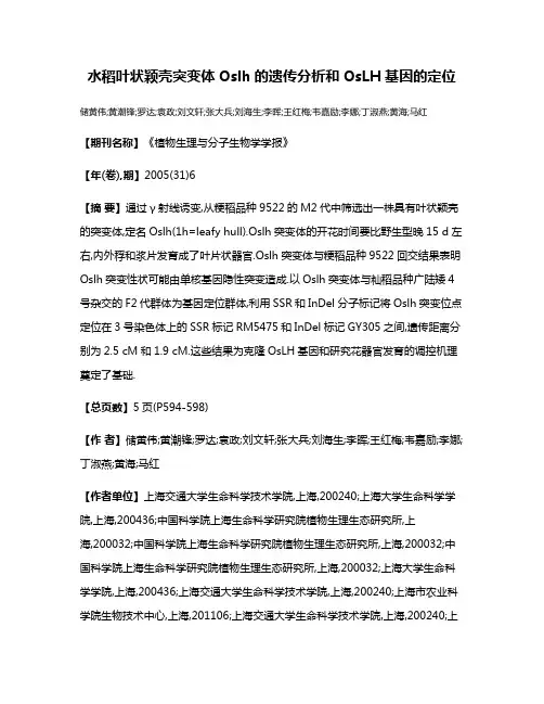 水稻叶状颖壳突变体Oslh的遗传分析和OsLH基因的定位