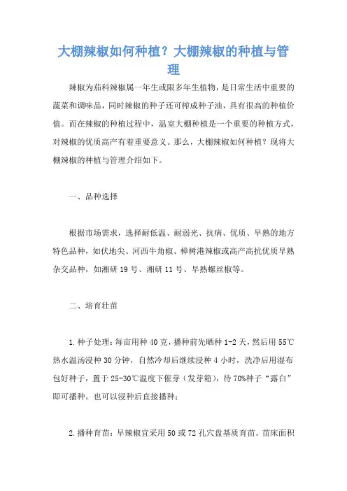 大棚辣椒如何种植？大棚辣椒的种植与管理