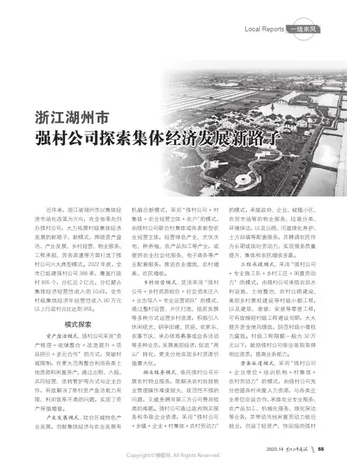 浙江湖州市_强村公司探索集体经济发展新路子