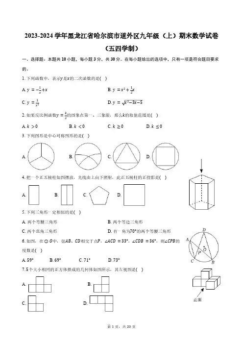 2023-2024学年黑龙江省哈尔滨市道外区九年级(上)期末数学试卷(五四学制)(含解析)