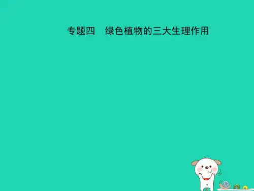 2020中考生物第2部分专题四绿色植物的三大生理作用复习课件