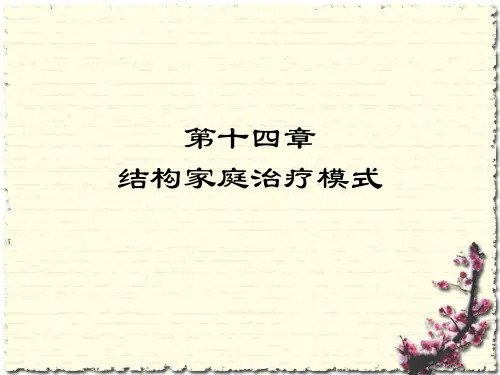 9-第九章--结构家庭治疗模式汇总