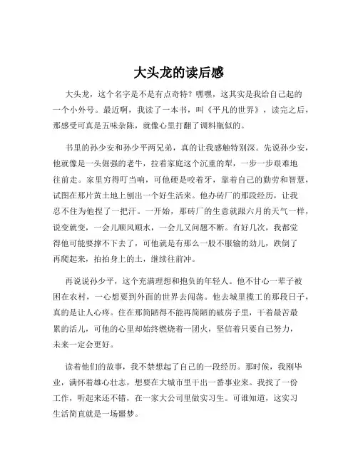 大头龙的读后感