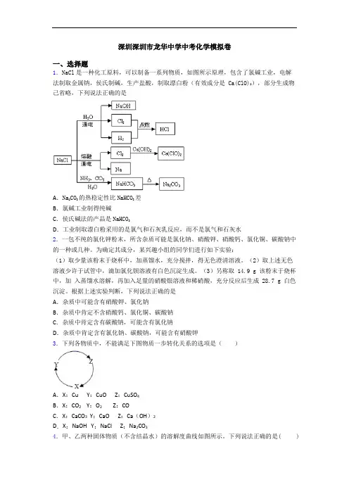 深圳深圳市龙华中学中考化学模拟卷