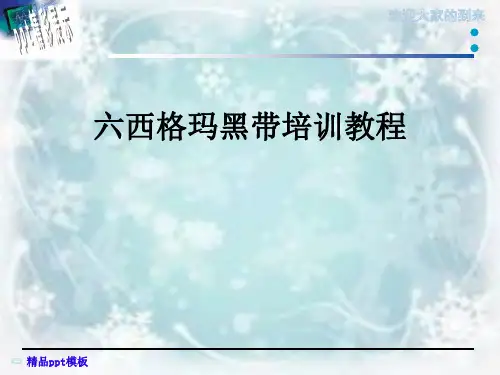 六西格玛黑带培训教程