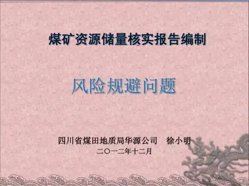 储量核实报告风险规避(1)(1)