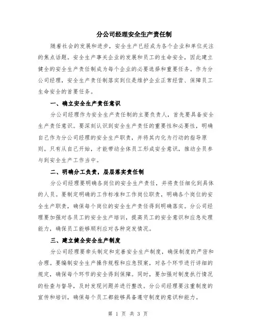 分公司经理安全生产责任制