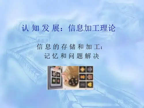 第五章、儿童认知发展-信息加工理论