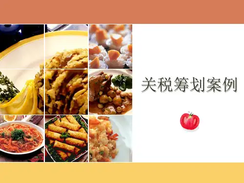 关税纳税筹划案例18页PPT文档