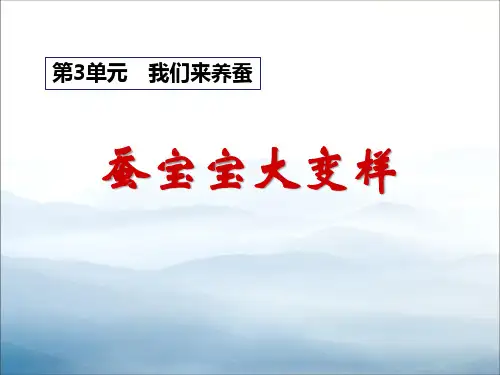 《蚕宝宝大变样》我们来养蚕PPT课件【优秀课件PPT】