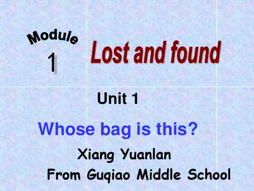 外研版七年级英语下册  Module 1 Lost and found Unit 1 Whose