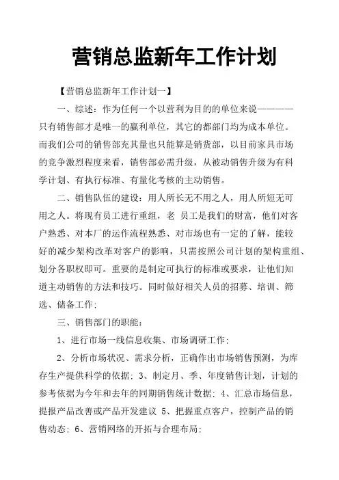 营销总监新年工作计划