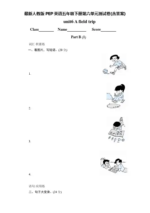 最新人教版PEP英语五年级下册第六单元测试卷(含答案)