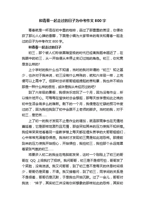 和青春一起走过的日子为中考作文800字