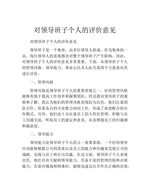 对领导班子个人的评价意见