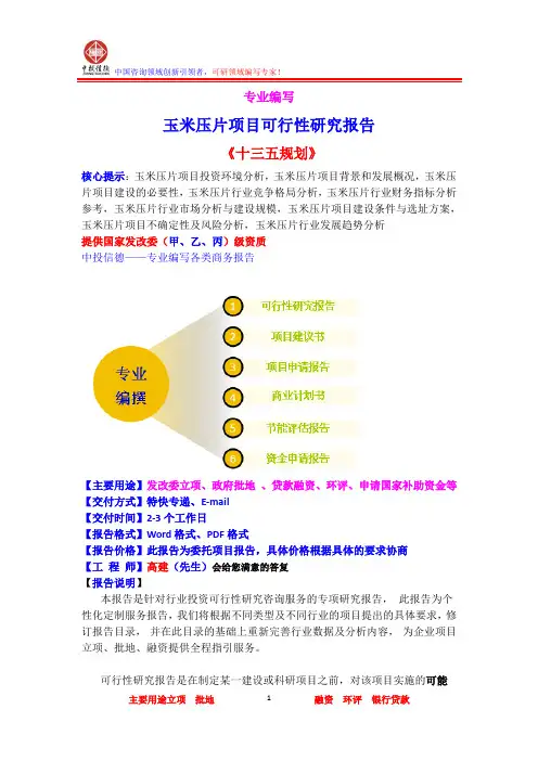 玉米压片项目可行性研究报告
