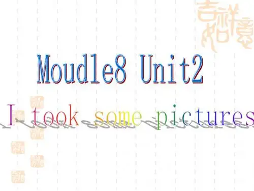 小学四年级下册英语I-took-some-pictures