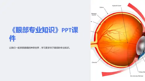 《眼部专业知识》课件