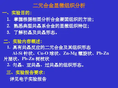 二元合金显微组织分析
