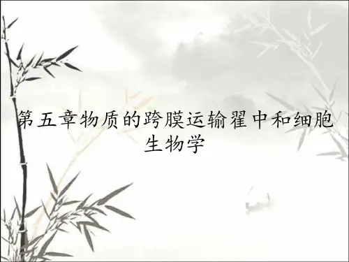 第五章物质的跨膜运输翟中和细胞生物学