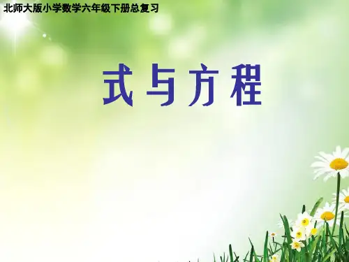 北师大版六年级下册数学课件 -《式与方程》 (共15张PPT)