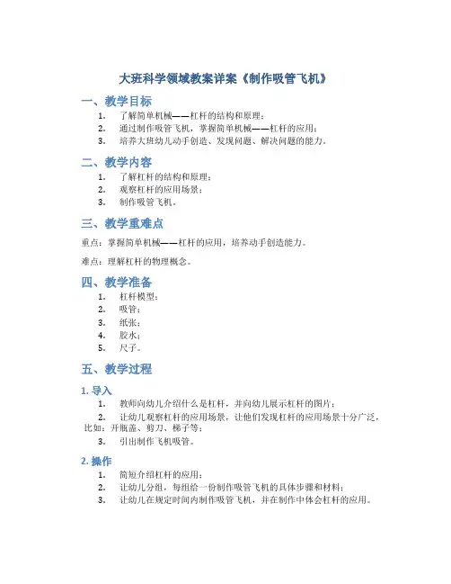 大班科学领域教案详案《制作吸管飞机》
