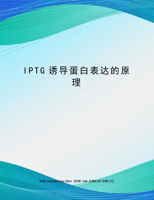 IPTG诱导蛋白表达的原理