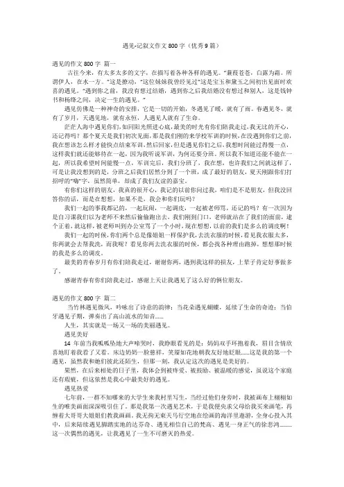 2023年最新-遇见-记叙文作文800字(优秀9篇)