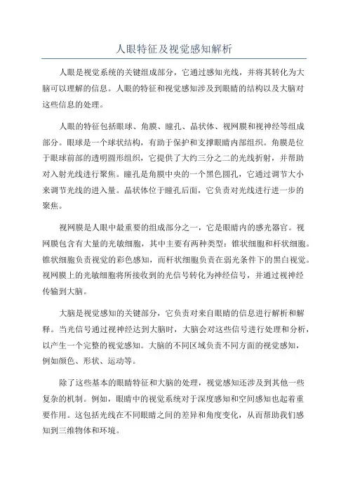 人眼特征及视觉感知解析