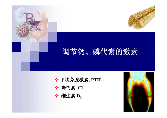 调节钙磷代谢的激素