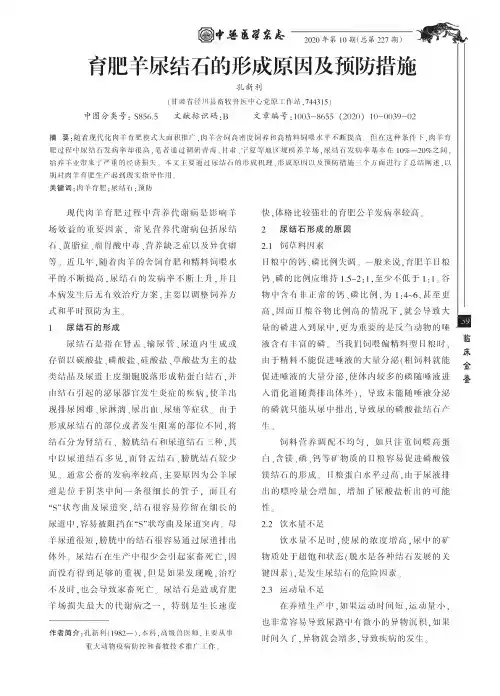 育肥羊尿结石的形成原因及预防措施