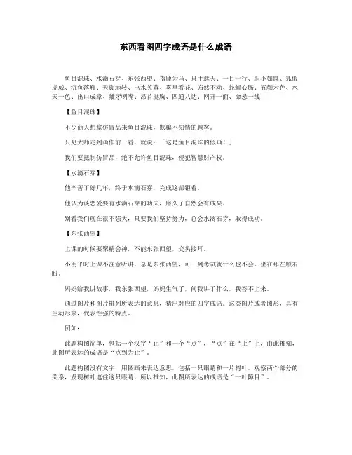 东西看图四字成语是什么成语