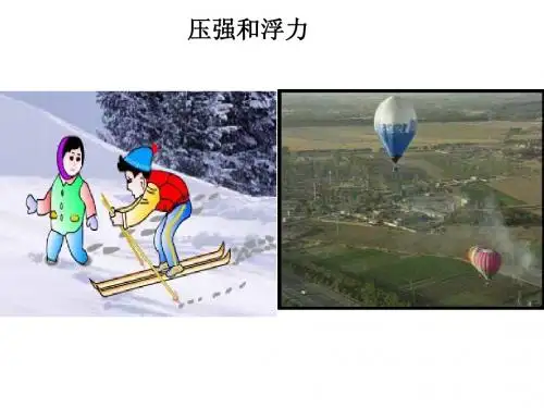 09 压强和浮力复习课件
