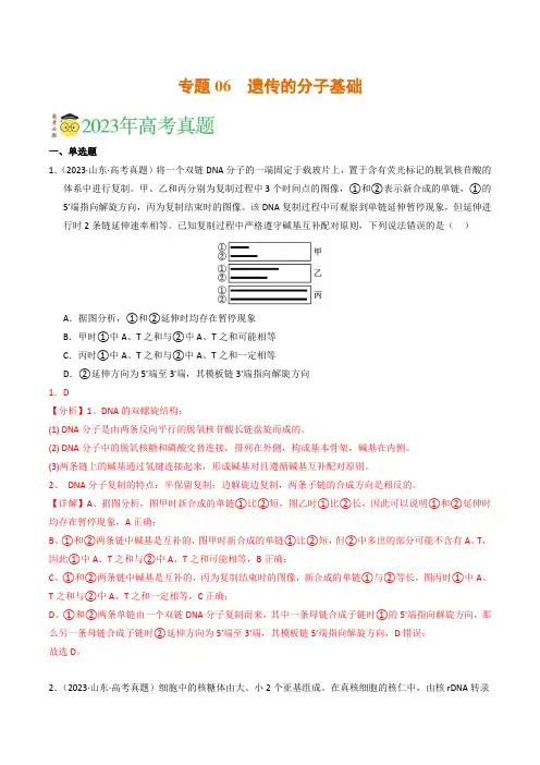 专题06遗传的分子基础(解析卷)-2023年高考真题和模拟题生物分项汇编(全国通用)