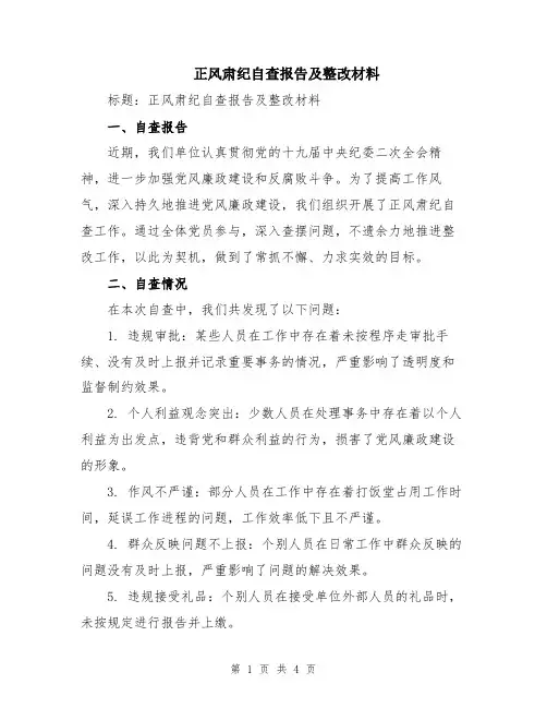 正风肃纪自查报告及整改材料