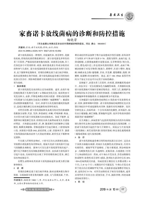 家畜诺卡放线菌病的诊断和防控措施